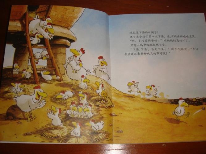 迷上卡梅拉(一)