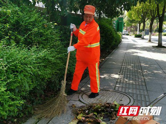 五年扫秃一卡车扫帚的环卫工人——郑凤莲