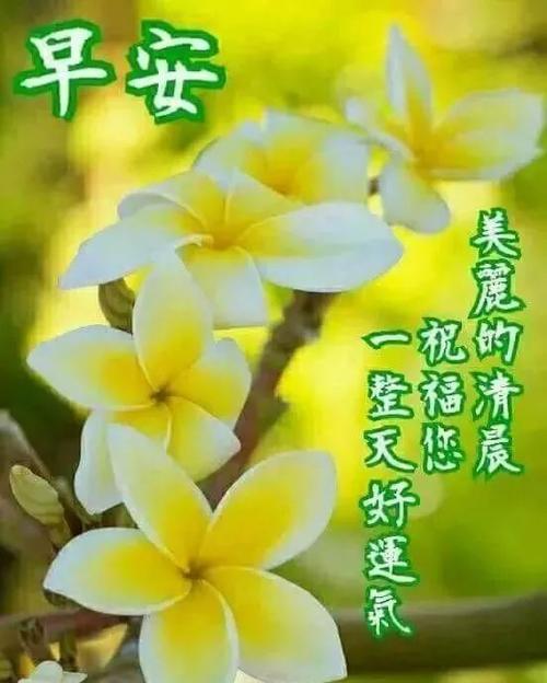 早上好朋友,新版早安问候语图片带字温馨,2021夏日有