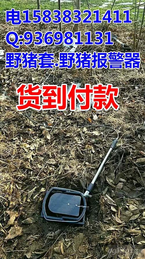 捕野猪工具横式弹簧套立式弹簧套野猪弹簧套野猪锁脚套地套野猪钢丝套