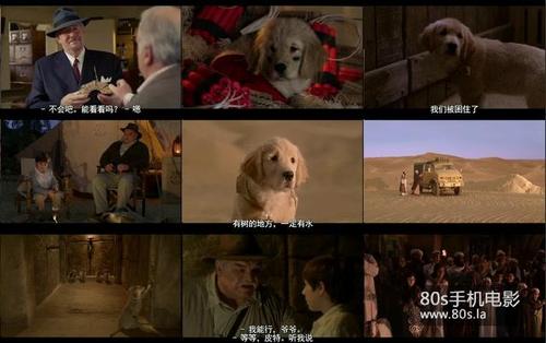 护宝狗狗 (2012)高清mp4迅雷下载-80s手机电影