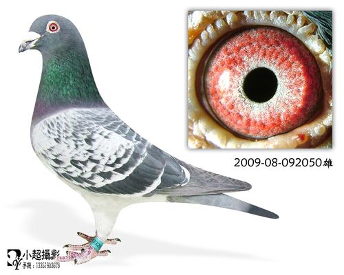 盖比664直子*盖比原舍1885直子05