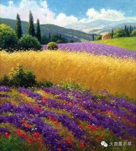 油画画家笔下摇曳生姿的薰衣草