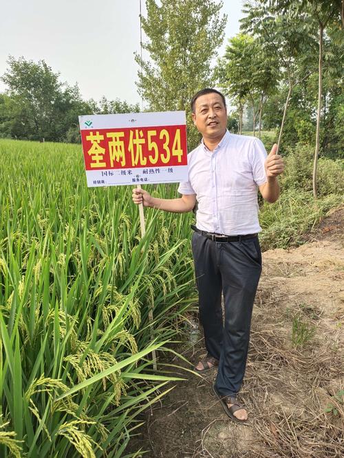 荃两优丝苗 (荃两优534) 2019年亮剑宜城