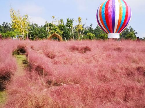 五龙山音乐百花谷