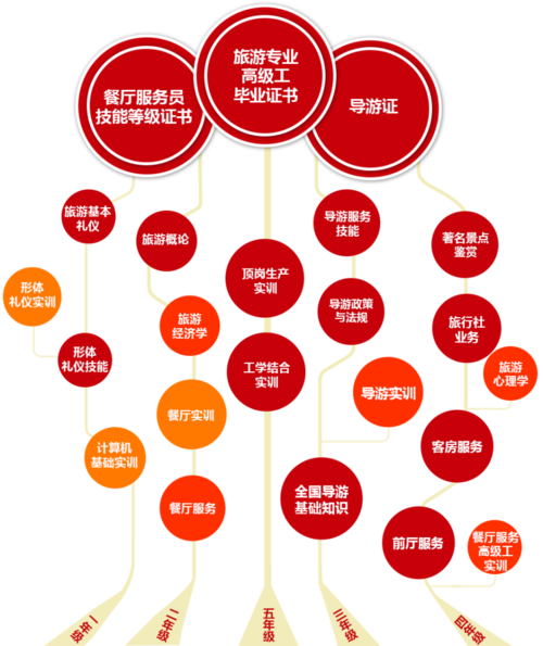 会计专业技能树