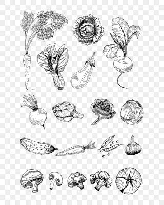 水果蔬菜手绘图片