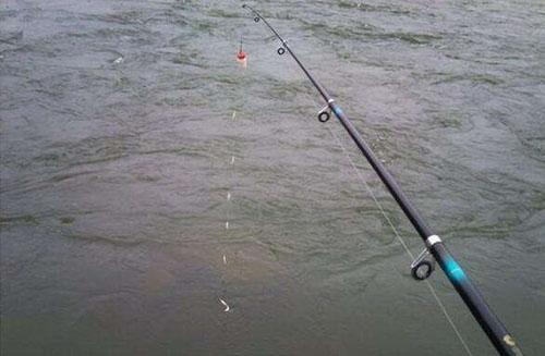 钓友海竿串钩钓草鱼的技巧,上中下三层都能钓到草鱼!