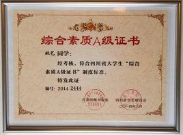 四川省大学生综合素质"a级证书"