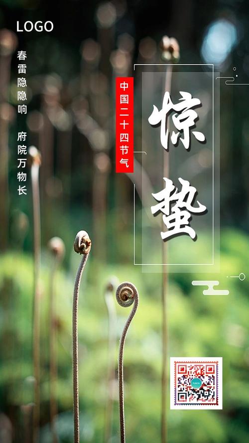 清新简约惊蛰节气中国传统二十四节气日习俗早晚安心情日签励志企业