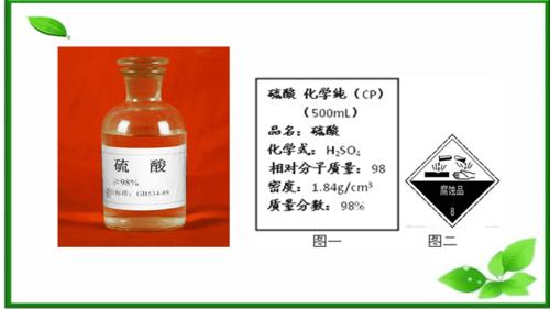 浓硫酸的性质.pptx