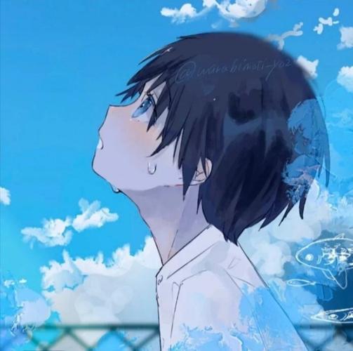 动漫男头|少年自有玫瑰与星光