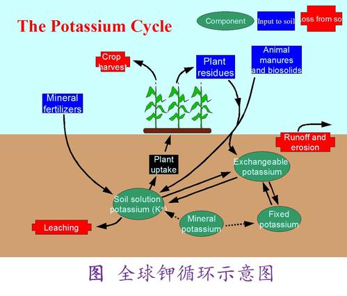 全球磷循环 (phosphoruscycle) 转载本文请联系原作者获取授权,同时