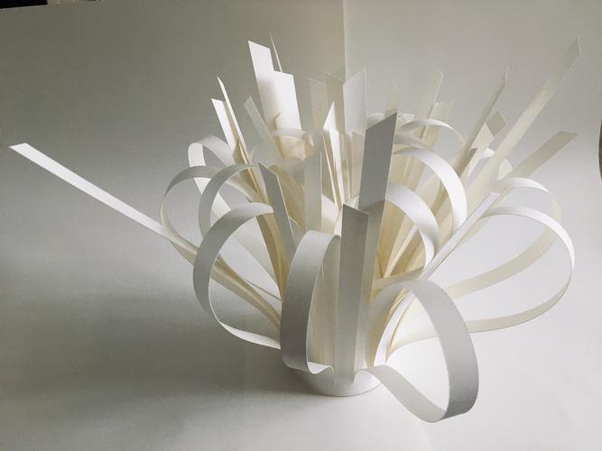 立体构成(仿生)