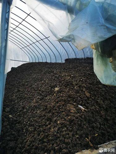 长年大量供应新鲜鸡粪,干鸡粪,肥力强,不伤土壤,软化土地