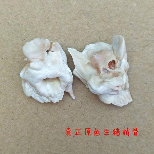 购客天然生猪惊骨原色猪惊骨宝宝压惊辟邪防惊吓红绳手链脚链饰品开光