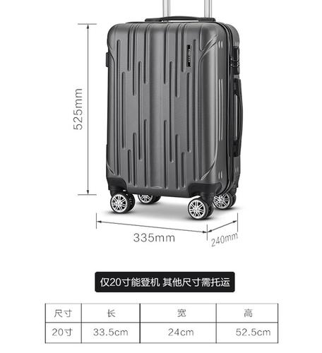 爱登堡(edenbo)商务旅行拉杆箱20寸登机箱f316