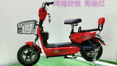 天津鸿禧电动车