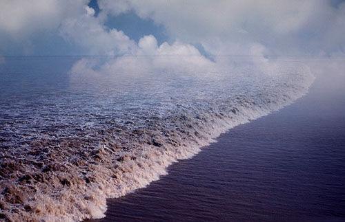 钱塘观潮是浙江历史悠久的汉族传统民俗活动,中秋佳节前后为观潮