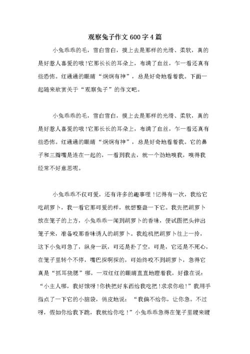 观察兔子作文600字4篇.doc 6页