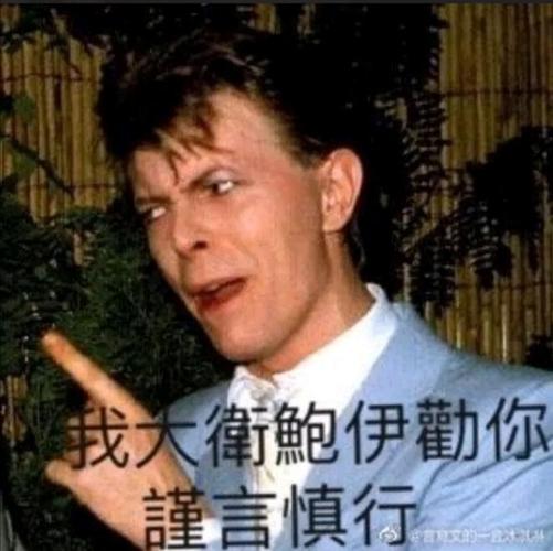 给大家整个表情包/meme 第一弹