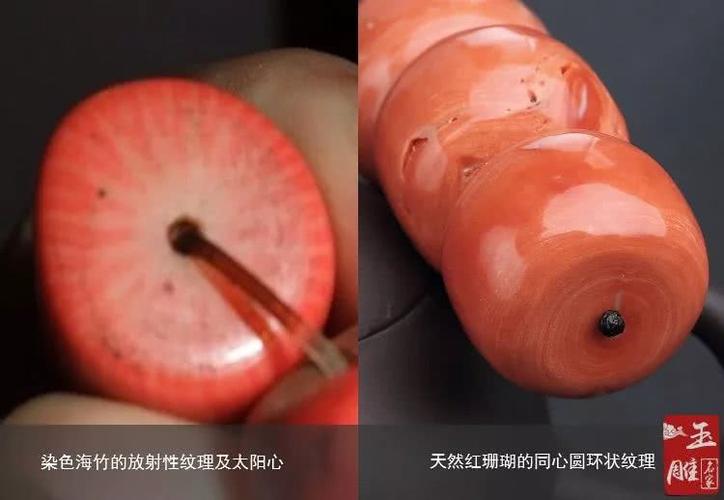 红珊瑚真假鉴别——如何区分染色海竹和天然红珊瑚
