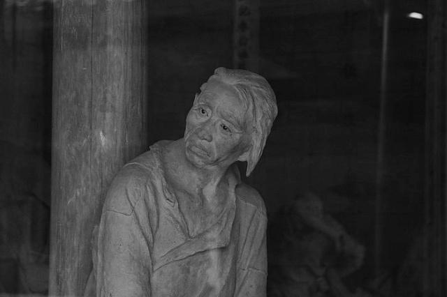 四川-大邑安仁刘文彩家