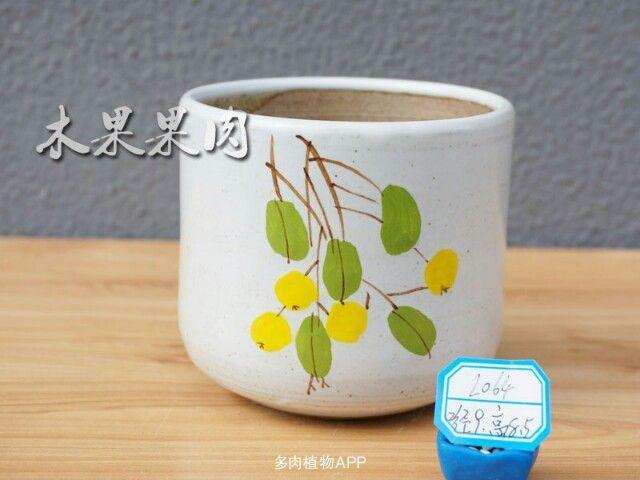 手绘多肉盆