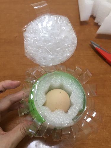 护蛋神器——子弹飞船的制作 五(5)班 张浅予