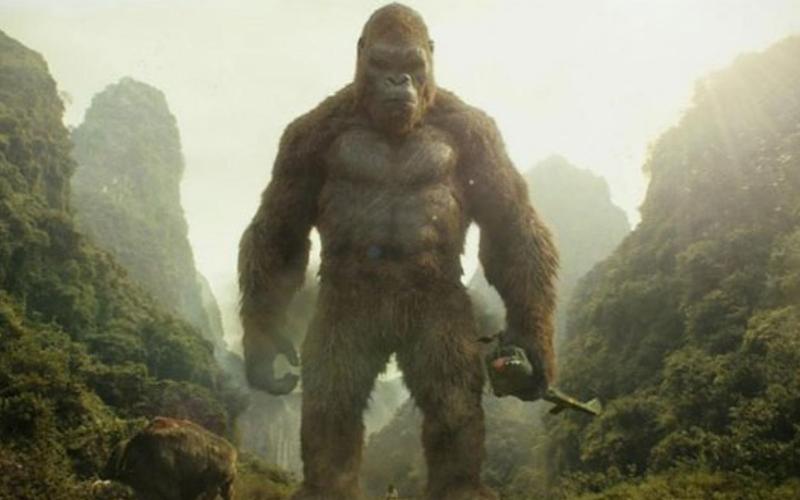 抖森主演电影金刚骷髅岛的取景地竟然是在越南,手机随便一拍不美颜都