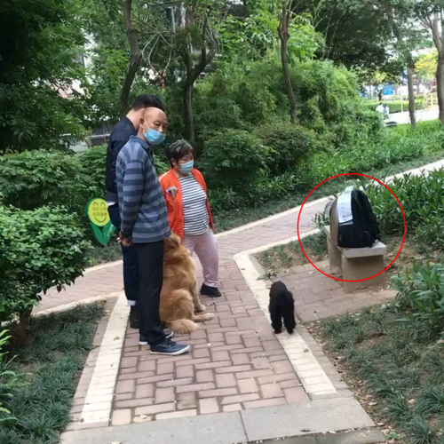 宠物猫被遗弃公园,主人留下50元钱,去医院检查后发现遗弃原因