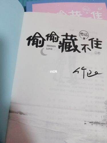 实体书《偷偷藏不住》_小说_小说实体书_文化_阅读