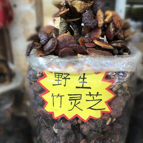 云南野生竹灵芝 产地直销长颈不苦灵芝 高品质排毒养生高山黑灵芝图片