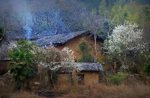 藜藿:瓦房听雨,感受我知道的记忆