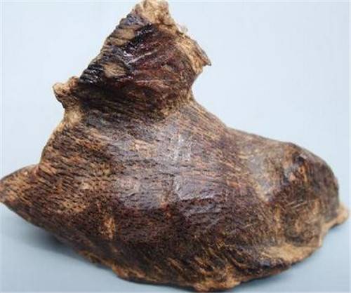 沉香奇楠木都有哪些鉴定特征