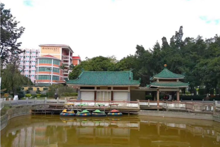 安海公园:海内外乡贤合力建设福建省内首家镇级公园