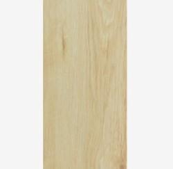 石塑片材地板革 仿实木地板 自粘加厚耐磨防滑塑胶地板贴 02淡雅榉木