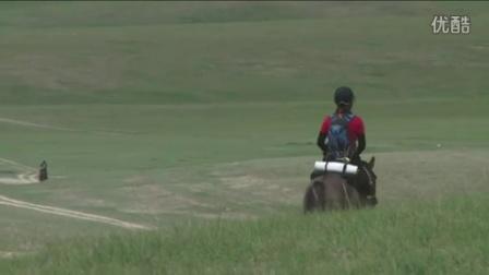 2015 mongol derby 1000公里赛马