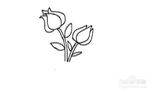 如何简笔画月季花