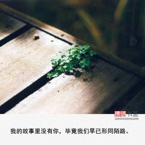 文字控##情话##伤感短句##文字句子图片##治愈##青春#励志##唯美