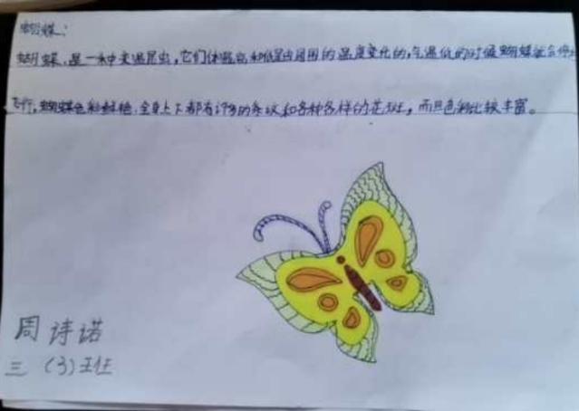 【昆虫备忘录】优秀作品集—— 红花岗区第二小学三3班