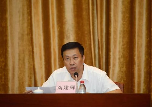镇委书记刘建辉表示