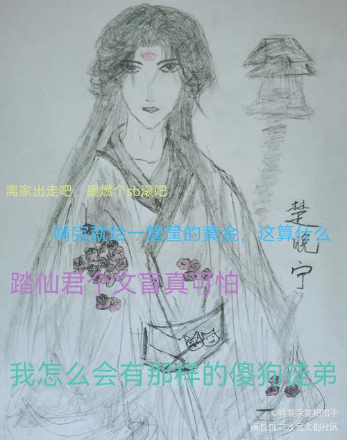 楚晚宁_二哈和他的白猫师尊楚晚宁手绘绘画作品
