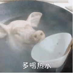 猪头肉gif表情包 多喝热水