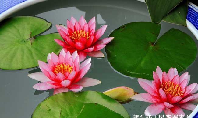 财气旺运气好的微信名,最吉利旺财的微信名