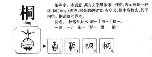 带桐字气若幽兰的女宝名字,太惊艳了