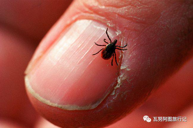 科学家正在探究疫病与文化间的联系