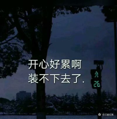开心好累啊,装不下去了.