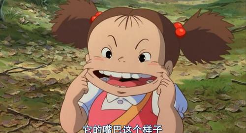 龙猫里的各种小表情