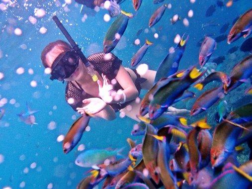 热浪岛海洋生态公园